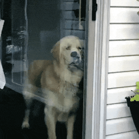 Animación divertida